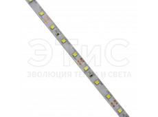 Лента светодиодная SMD2835 60д/м 4.8Вт/м 6500K IP33 (5м) Лента светодиодная SMD2835 60д/м 4.8Вт/м 6500K IP33 (5м)